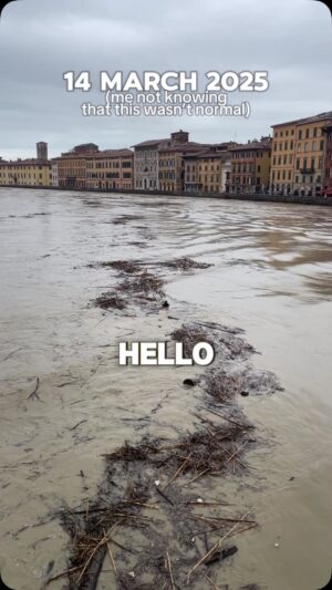 Samantha Tan Instagram - Hello stick nation! Here’s my submission to @officialstickreviews not knowing what was anticipated after. 

MANY STICKS in RIVER ARNO! 🙌🏻😅