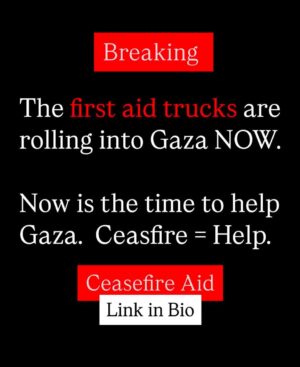 Sarwat Gilani Instagram - NOW is the time to help Gaza! @khaledbeydoun @humanappeal 

#freepalestine #helpgaza