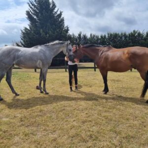 Sharni Layton Instagram - I know I complain a lot about my 2 x giant unrideable banana monkeys who have constant vet issues and drain my bank account (thanks to poor treatment from the racing industry) but I actually don't know what I would do without them. My big beautiful baby boys. Luckiest girl in the world.