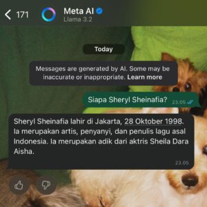 Sheryl Sheinafia Instagram - swipe right untuk liat percakapan sama meta ai 👍🏻
jujur, gak aku lanjutin.
aku sudah puas sama jawabannya.