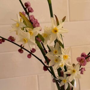 Shinobu Otake Instagram - ある日ピーンポーンと、インターフォンが鳴る。
私の髪はボサボサで、しかもパジャマの上からセーターを羽織ったままだ。
モニターには近所のお肉屋さんが。
まあいいかとボサボサの髪で開ける。
「あのね、咲いてたから切って持ってきたよ、あなたにあげようと思って」

その'貴女'という響きが、私の髪にはそぐわなかったけど、
「ありがとう、ありがとう、ありがとう‼️」と叫んだ私。
80過ぎても自転車で配達しているおじさんに私はいつも元気を貰ってます。
ありがとう😊

#お肉屋さん
#大竹しのぶ