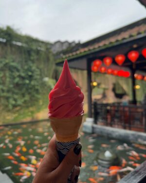 Shubhi Garg Agarwal Instagram - // Vietnamese Food was 🥹

The first 3 days, I ate out of the home packed food we took for the trip because Vietnamese food is so bland! But when my husband joined us on the 4th day, my life changed and I ate THE BEST FOOD IN VIETNAM! 🙈😋

From cheese waffles to authentic Vietnamese bowls and fresh fruits and veggies and pasta and ice cream and so much more! It was all so yummy. 🌮🌯🍛🍔🍕🥗🥙🍜

We love trying new places and new food and when Van is with me, I just don’t have to worry. He’s a foodie and he gets me the best food evaaaa 😋😋😋 My foodie partner for life!
.
.
.
.
.
.
.
.
#pickeratpace #foodblogger #indianblogger #indianfoodie #indianfoodblogger #foodielife #foodiegram #foodielife #vietnamfood #vietnamesefood #vietnamesecafe #foodvietnam [best food in vietnam, foodies in vietnam, vietnamese cafe, eating places in danang, eating places in hanoi, eating places in ho chi minh]