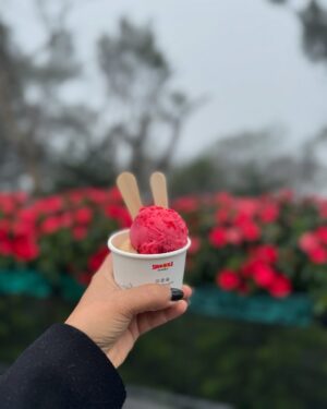 Shubhi Garg Agarwal Instagram - // Vietnamese Food was 🥹

The first 3 days, I ate out of the home packed food we took for the trip because Vietnamese food is so bland! But when my husband joined us on the 4th day, my life changed and I ate THE BEST FOOD IN VIETNAM! 🙈😋

From cheese waffles to authentic Vietnamese bowls and fresh fruits and veggies and pasta and ice cream and so much more! It was all so yummy. 🌮🌯🍛🍔🍕🥗🥙🍜

We love trying new places and new food and when Van is with me, I just don’t have to worry. He’s a foodie and he gets me the best food evaaaa 😋😋😋 My foodie partner for life!
.
.
.
.
.
.
.
.
#pickeratpace #foodblogger #indianblogger #indianfoodie #indianfoodblogger #foodielife #foodiegram #foodielife #vietnamfood #vietnamesefood #vietnamesecafe #foodvietnam [best food in vietnam, foodies in vietnam, vietnamese cafe, eating places in danang, eating places in hanoi, eating places in ho chi minh]