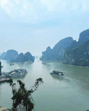 Shubhi Garg Agarwal Instagram - // We booked a day cruise for a trip to Halong Bay and it was absolutely amazing! 🛳️

The trip started with a bus ride from Hanoi to the Tuan Chuan Island and that’s where we got on the boat that the actual tour is on. They served us lunch 🥙 while we admired a few interesting sites like the fighting cock islet and Kissing Chickens rock formation. 😍

We then docked to do some fun boat rides and we opted for Speed Boat and a Bamboo Boat ride instead of Kayaking around the Luon Cave.

Our second stop was the Sung Sot Cave and this was indeed the most crowded spot. We climbed 300 steps to explore the caves and got to see a really pretty view. The limestone formations inside the caves were truly magical. ⛰️

Our last stop was the TiTop island which is a beach site and you can either go swimming or hiking but they only give you about 30 mins so we simply picked up a few snacks and enjoyed sightseeing. 😍

The entire cruise was for about 11 hours which included transportation to the Bay from Hanoi Old Quarter, a Vietnamese lunch (drinks separate charge) on the cruise, sightseeing and activities, and a sunset snack before heading back to Hanoi.
.
.
.
.
.
.
.
.
#pickeratpace #indianblogger #indiantravelblogger #vietnam #vietnamtravel #hanoi #halongbay #daycruise #halongbaycruise #travelgram #vietnamtrip [indian travel blogger, vietnam travel, halong bay cruise, day cruise halong bay]