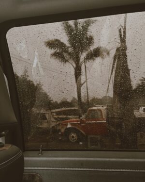 Skylar Grey Instagram - Chrysalism - n. the amniotic tranquility of being indoors during a thunderstorm. Latin chrysalis, the pupa of a butterfly. Pronounced “kris-uh-liz-uhm.” - Dictionary of Obscure Sorrows