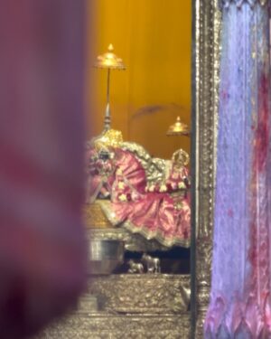 Sneha Wagh Instagram - Vrindavan Ki Holi ……. 💝
Cheerjeevo Hori Ke Rasiya Shri RadhaRaman ……. 🪷
.
.
.
.
.
.
.
#vrindavan #brajdham #brajkiholi #shriradharaman #radharaman #radheradhe #radheshyam #krishna #radha #holi #hori #snehawagh #sarangesneha