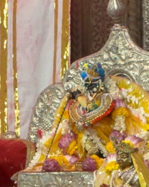 Sneha Wagh Instagram - Aisi Aayi Pichkaari Thakurji Ke Yahaan Se , Ke Seedhe Kesar Chandan Ka Gaudiya Tilak Banaa Diya Maathe Par 🫠
.
.
.
[ Shri RadhaRaman Ju , Vrindavan Ki Holi , Sneha Wagh , Shri Radhe Shyam ]
.
.
.
#holi #horikerasiya #shriradharaman #shriradharamanlalju #radharaman #radheradhe #shriradhe #radheshyam #vrindavan #snehawagh #sarangesneha