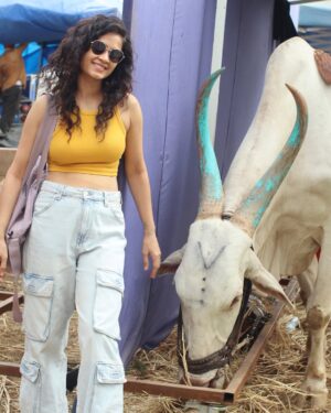 Sonia Balani Instagram - Sun le pukaar Bull-yaa