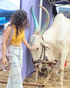 Sonia Balani Instagram - Sun le pukaar Bull-yaa