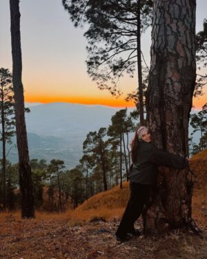 Sowkya Reddy Instagram - That day I hugged a tree, I felt the World  pause and my heart find Home 💝 🏡