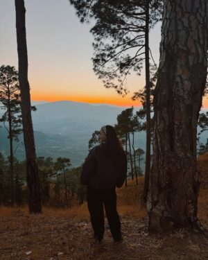 Sowkya Reddy Instagram - That day I hugged a tree, I felt the World  pause and my heart find Home 💝 🏡
