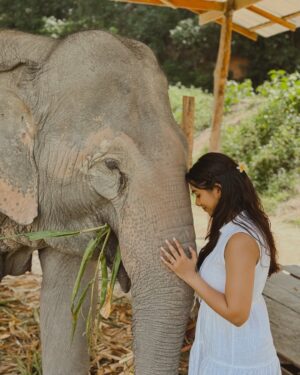 Sowkya Reddy Instagram - I told the elephant, ‘You are so magnificent and strong.’ And it replied, ‘So are you.’ 🐘✨❤️