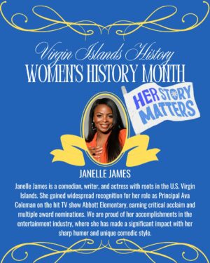 Stacey Plaskett Instagram - In honor of Virgin Islands History Month and Women's History Month, today we present Janelle James, a talented comedian, writer, and actress.

Her success serves as an inspiration, highlighting the contributions of Caribbean women in the arts.

Photo Credit: Paramount Theatre