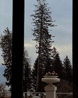 Sumaya Rida Instagram - Like snowflakes, no two moments are ever the same.