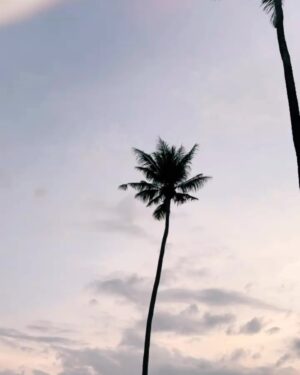Tata Young Instagram - @anyavee_krabi_beach ที่…ที่แสงสวยตลอดเวลา I will remember you 🌅
•
เอาวิว  กับ เสียงคลื่น มาฝาก #TTFC @tatayoungfanclubofficial