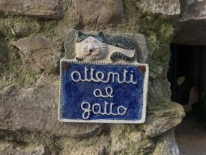 Tilbe Saran Instagram - #cotedazurfrance #antibes #dolceaqua