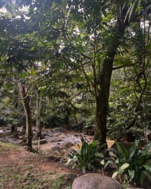 Triparna Bandyopadhyay Instagram - What a beautiful Day 1 in Malaysia with @tiarasaescapes @tourismmalaysia_india @malaysia.truly.asia 
#the_foodielady

The property has a lot of fun indoor activities such as bonfire, movie nights, various sports, picnic and also off-road activity such as river hike, ATV rides and so on. 
#visitmalaysiayear2026
#malaysiatrulyaisa
#surrealexperinces 
#tiarasaescapes #tiarasaescapesglampingresort #malaysiadaytrips #kualalumpur #kualalumpurcity #kldaytrips #igersmalaysia #malaysiatravel #malaysiatrending #viralmalaysia