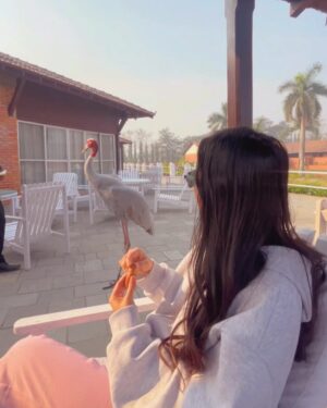 Upasana Singh Thakuri Instagram - A weekend third wheeling my besties and a view at @hokke_lumbini ! 👫🧍‍♀️

#HokkeLumbini #ExperienceHokke