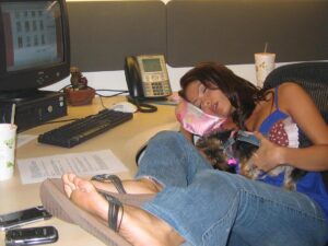 Valery M. Ortiz Instagram - I started this post this morning on the treadmill but got too emotional to finish. I miss this lil nugget so much. Happy heavenly 18th birthday mi Myli Myshell! It breaks my heart but simultaneously fills it with SO MUCH joy going through our memories together. Too hard to choose 20 favorites. 🥹 I hope you were running up a storm up there with all of your doggy family eating crackers and treats and sunbathing and getting snuggles de Abuela Panchi y Mama Meche que siempre te querían! I can’t wait to see you again my lil baby! 🤧🥹😭