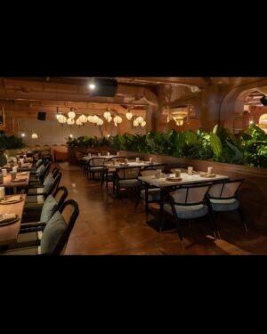 Vandana Sajnani Instagram - Launched this beautiful masterpiece of a place where I left my heart ❤️.
Thankyou all who came and made it special . ❤️ No it’s not Morocco or Turkey or Lebanon or Dubai .  it’s in Aamchi Mumbai at Nesco - @bayroutedining 😍😍😍.
The most amazing decor , cuisine and vibe ! 😍😍. Visit it to believe it 💝.
DOORS ARE OPEN ! #Bayroute #Dining .
.
.
#vandanasajnani #Actor #Blogger #Influencer #Foodie #Restaurants #Mumbai #Postoftheday #Lebanese #medditeraneanfood #Beirut #Yummy #Vandanasajnanikhattar #oldworld