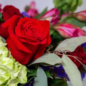 Wanda Sais Instagram - ✨ ¡Un día especial en elikonia flores! ✨

Hoy tuvimos el honor de recibir a la talentosa Wanda Sais, quien llenó nuestro espacio de alegría y elegancia. 🌹💫 Su energía y carisma hicieron que cada flor brillara aún más.

Gracias, Wanda, por compartir este hermoso momento con nosotros. ¡Te esperamos siempre con los brazos abiertos! 💐💖

📍 Visítanos y descubre la magia de nuestras flores en www.regalafloresconamor.com

#elikoniaflores #RegalaFloresConAmor #WandaSais #BellezaNatural #FloresConEncanto