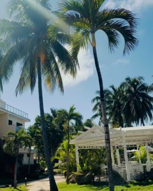 Yonca Evcimik Instagram - Küba gezisinden kalanlar 🍀 1. Bölüm #cuba #küba