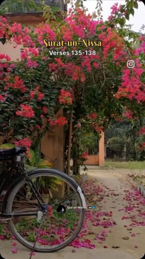 Zarnish Khan Instagram - 
