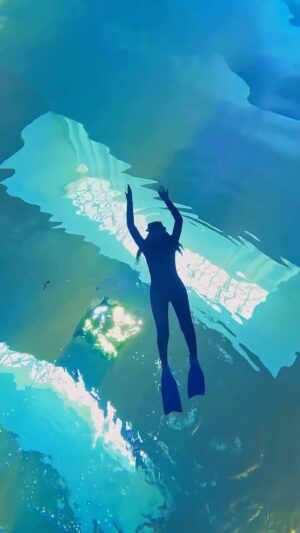himanshi sharma Instagram - Underwater magic in Dubai – a world unlike any other. 🤿🌊

 #deepdiving  #deepdivedubai #DeepDiveDubai
	#DubaiAdventure #underwaterdubai #DiveIntoDubai #exploredubai #ScubaDubai #underwaterworld #DubaiDiving #deepseaadventure #DivingDubai #ExploreUnderwater #DubaiExplorer #OceanLover #visitdubai