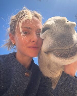 Amanda Seyfried Instagram - ❤️‍🔥