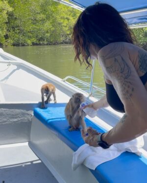 Asia Argento Instagram - Crazy monkeys & sleepy bats