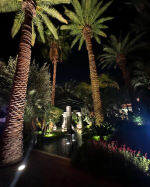 Bassma Boussel Instagram - Thank u Marrakech for the beautiful memories 🕊️ 

Song by : @nada.azhari ❣️plz show her love & support , i became a fan of u nada 🌹