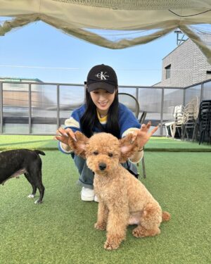 Cho Ha-seul Instagram - @withaseul 님께서 포캣멍센터에 방문해주셨습니다🥳

해외투어로 바쁜 일정에도 불구하고 아이들 한친구씩 이뻐하면서 집중 케어해주셨어요🥹 정성어린 손길에 하슬님의 다정하고, 따뜻한 마음이 전해졌습니다

뿐만 아니라, 아이들에게 건강한 한 끼를 제공해주기 위해 처방식 캔까지 후원하며 센터의 힘이 되어주어요

이번 만남을 통해 하슬님께도, 아이들에게도 행복하고 따뜻한 순간이 된거같아 무척 뜻깊습니다.

하슬님의 활동을 진심으로 응원하며 이번 방문을 통해 전해 주신 사랑과 따뜻한 마음을 잊지 않겠습니다!

HaSeul from the K-pop girl group ARTMS visited For Cat&Mung Center!

Despite her busy schedule with an overseas tour, she took the time to care for each and every one of our shelter animals, showering them with love and attention. Her gentle touch and warm heart truly shone through.

Not only that, but she also generously donated prescription canned food to provide the animals with a healthy meal, giving even more strength to our center.

This visit was such a meaningful and heartwarming moment for both HaSeul and the animals at For Cat&Mung Center.
We are incredibly grateful for her kindness and support.

#k #아빠 와 #아르테미스 #하슬 #artms