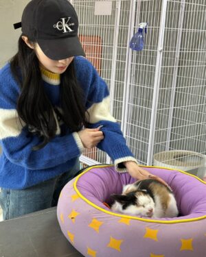 Cho Ha-seul Instagram - @withaseul 님께서 포캣멍센터에 방문해주셨습니다🥳

해외투어로 바쁜 일정에도 불구하고 아이들 한친구씩 이뻐하면서 집중 케어해주셨어요🥹 정성어린 손길에 하슬님의 다정하고, 따뜻한 마음이 전해졌습니다

뿐만 아니라, 아이들에게 건강한 한 끼를 제공해주기 위해 처방식 캔까지 후원하며 센터의 힘이 되어주어요

이번 만남을 통해 하슬님께도, 아이들에게도 행복하고 따뜻한 순간이 된거같아 무척 뜻깊습니다.

하슬님의 활동을 진심으로 응원하며 이번 방문을 통해 전해 주신 사랑과 따뜻한 마음을 잊지 않겠습니다!

HaSeul from the K-pop girl group ARTMS visited For Cat&Mung Center!

Despite her busy schedule with an overseas tour, she took the time to care for each and every one of our shelter animals, showering them with love and attention. Her gentle touch and warm heart truly shone through.

Not only that, but she also generously donated prescription canned food to provide the animals with a healthy meal, giving even more strength to our center.

This visit was such a meaningful and heartwarming moment for both HaSeul and the animals at For Cat&Mung Center.
We are incredibly grateful for her kindness and support.

#k #아빠 와 #아르테미스 #하슬 #artms