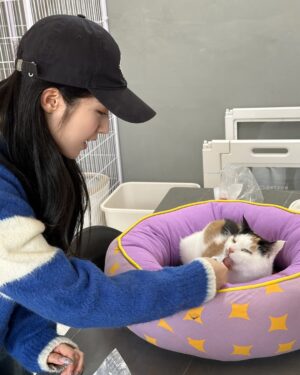 Cho Ha-seul Instagram - @withaseul 님께서 포캣멍센터에 방문해주셨습니다🥳

해외투어로 바쁜 일정에도 불구하고 아이들 한친구씩 이뻐하면서 집중 케어해주셨어요🥹 정성어린 손길에 하슬님의 다정하고, 따뜻한 마음이 전해졌습니다

뿐만 아니라, 아이들에게 건강한 한 끼를 제공해주기 위해 처방식 캔까지 후원하며 센터의 힘이 되어주어요

이번 만남을 통해 하슬님께도, 아이들에게도 행복하고 따뜻한 순간이 된거같아 무척 뜻깊습니다.

하슬님의 활동을 진심으로 응원하며 이번 방문을 통해 전해 주신 사랑과 따뜻한 마음을 잊지 않겠습니다!

HaSeul from the K-pop girl group ARTMS visited For Cat&Mung Center!

Despite her busy schedule with an overseas tour, she took the time to care for each and every one of our shelter animals, showering them with love and attention. Her gentle touch and warm heart truly shone through.

Not only that, but she also generously donated prescription canned food to provide the animals with a healthy meal, giving even more strength to our center.

This visit was such a meaningful and heartwarming moment for both HaSeul and the animals at For Cat&Mung Center.
We are incredibly grateful for her kindness and support.

#k #아빠 와 #아르테미스 #하슬 #artms