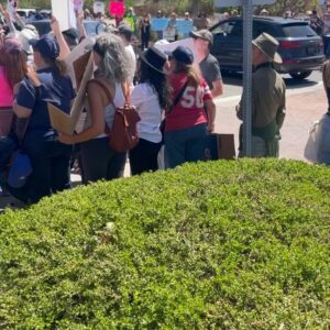 Eileen Davidson Van Patten Instagram - Malibu showed up!!! and stood up! #handsoff2025 @50501movement