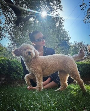 Emina Jahović Instagram - “Some old-fashioned things like fresh air and sunshine are hard to beat.” ☀️💫
Good Morning, beautiful people:)