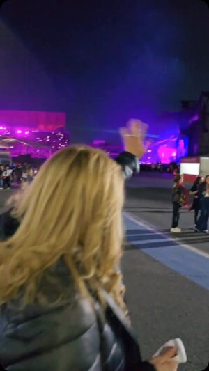 Erika Buenfil Instagram - La pase increíble.  La experiencia de ver a Shakira. @shakira  Espectacular.  Sigo bailando 💃. @gnpseguros #Viviresincreíble #SoyClienteGNP