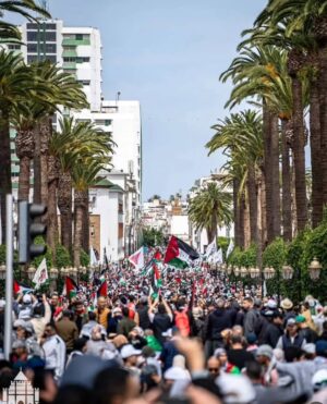 Farah El Fassi Instagram - فلسطين حرة ✌🏻#freepelastine🇵🇸 #اللهم_حرر_المسجد_الأقصى_واجبر_كسرهم_واشف_مرضاهم_وتقبلشهدائهم_برحمتك_اللهم_إني_أستودعك_بيت_المقدسوأهل #فلسطين