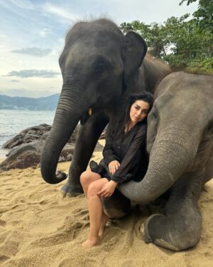 Farah El Fassi Instagram - “جمالية الحياة تكمن في التفاصيل البسيطة: ابتسامة صادقة، شمس تشرق بعد ليلة طويلة، ولحظة تجد فيها قلبك مطمئنًا رغم كل العواصف. الحياة جميلة حين نراها بعيون ممتنة ونعيشها بقلب مليء بالأمل.” و الفلوووووس 🤣
#behappy #lavidaesbella