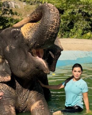 Farah El Fassi Instagram - طلبت الراحة لنفسي فلم أجد شيأ أروع من ترك ما لا يعنيني 🐘
#thailand 🐘♥️♥️🌸