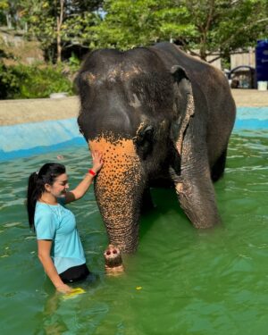 Farah El Fassi Instagram - طلبت الراحة لنفسي فلم أجد شيأ أروع من ترك ما لا يعنيني 🐘
#thailand 🐘♥️♥️🌸