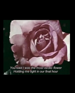 Fiona Xie Instagram - You said I was the most exotic flower, 
Holding me tight in our final hour. 

I whisper a fond adieu old flame,
@apple sweet 16 
You’re all I need. 

#newphonewhodis