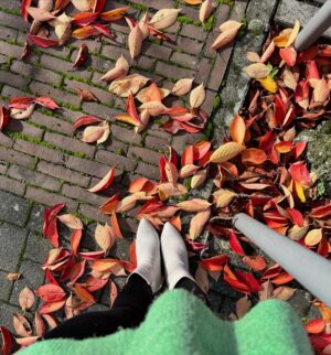Garima Panta Instagram - Fall Fell 🍂