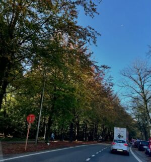 Garima Panta Instagram - Fall Fell 🍂