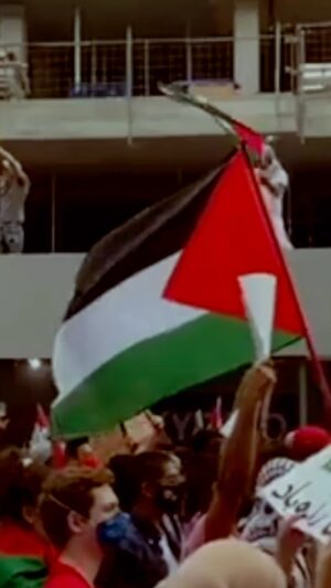 Hana Yousry Instagram - فلسطين.. و بس كده ❤️❤️❤️ 🇵🇸🇵🇸🇵🇸