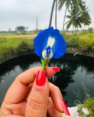 Hemalatha M Instagram - வாழ்தல் இனிது ❤️ #hemarakesh #travel #nature