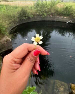 Hemalatha M Instagram - வாழ்தல் இனிது ❤️ #hemarakesh #travel #nature