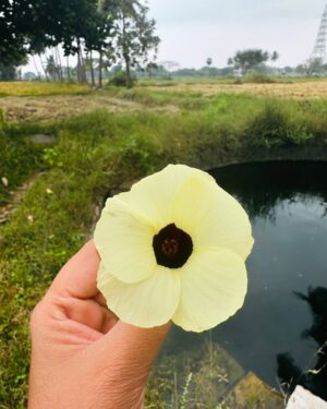 Hemalatha M Instagram - வாழ்தல் இனிது ❤️ #hemarakesh #travel #nature