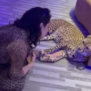 Ibtissam Tiskat Instagram - Wonderful experience 🤍 

@fatinatiskatofficiel 
 @albuqaish.jungle 
@humaidalbuqaish 

#ibtissamtiskat #animals #happy