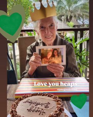 Jane Goodall Instagram - 📫 A thank you message from Dr. Jane Goodall 💌

“With so many people around the world, including you, sending me warm greetings, my resolve to do my utmost to give people the will to fight on for the future of the planet — to fight even harder, never to lose hope that miracles can and do happen. Together we are strong — we must be for all the children born into a troubled world.

So thank you for your Birthday greeting and know that my flame of hope is the stronger for it.

With love
Jane”

💚 Thank you to everyone who joined us in celebrating Dr. Jane Goodall’s 91st birthday yesterday! 🎂 From heartfelt messages to #GoodAllDay projects, your support made this celebration truly special. 🌍✨

Keep the momentum going and stay tuned for more ways to make an impact with JGI!

📸
JGI/Sylvie
Patrick McDonnell (@Mutts) 
Merlin van Lawick 
Itziar Giner (@itziarultramar)
Luke Stambouliah (@lukestambouliah )
Wendy Barratt (@NationalPortraitGallery)
.
.
.
#JaneGoodall #JaneGoodallInstitute #JGI #GoodallDay #DrJaneGoodall #Wlidlife #Animals #HopeInAction #Conservation #Activist #Hope